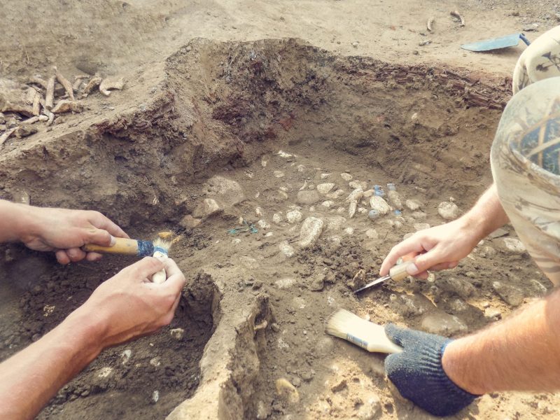 Menschen graben mit Werkzeugen an einem archäologischen Fund.
