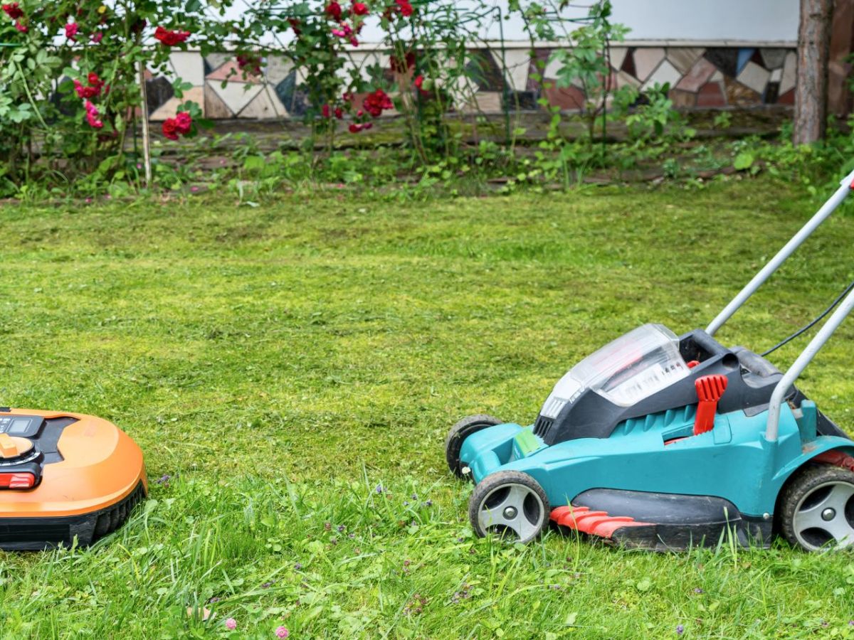 Was ist besser für deinen Garten: Mähroboter oder Rasenmäher?