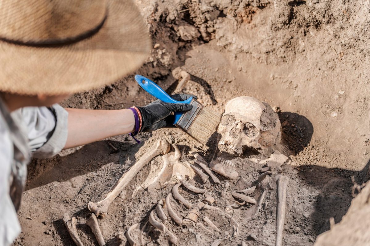 Eine Person entfernt Staub von einem Totenschädel während einer archäologischen Ausgrabung.