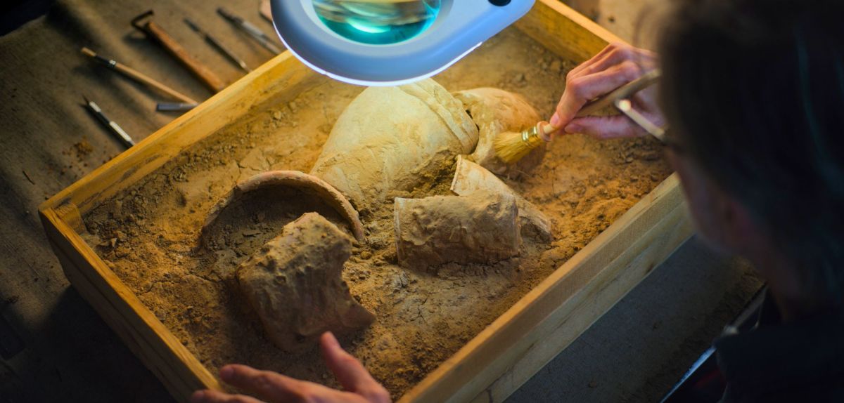 Nahaufnahme einer ArchÃ¤ologin, die unter einer Lampe mit einer BÃ¼rste das kulturelle Erbe einer untergegangenen Zivilisation aus dem Sand entfernt