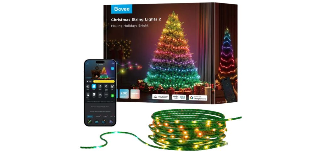 Govee Christmas String Lights 2