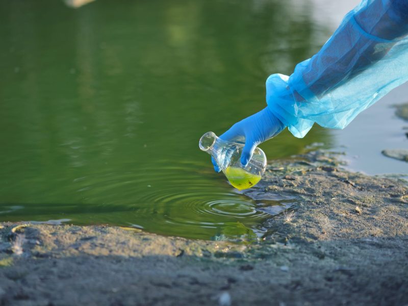 Person entnimmt eine Probe in einem Glas aus einem Gewässer.