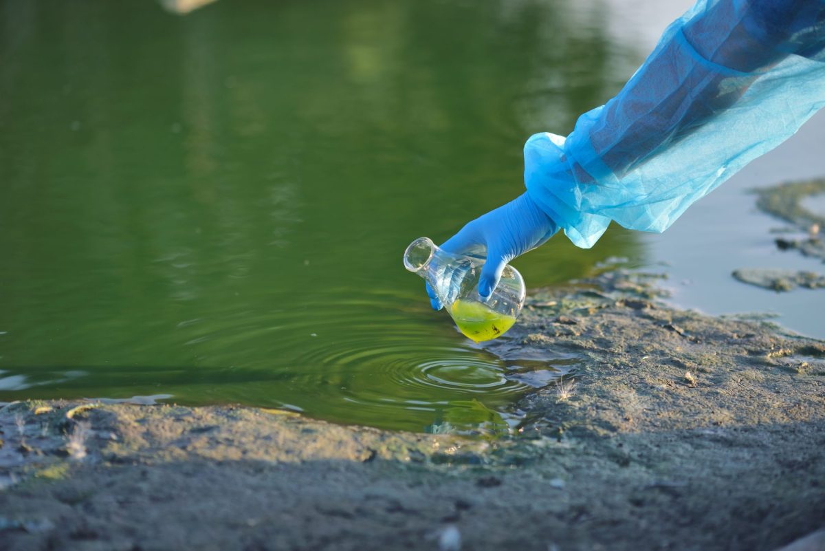 Person entnimmt eine Probe in einem Glas aus einem GewÃ¤sser.