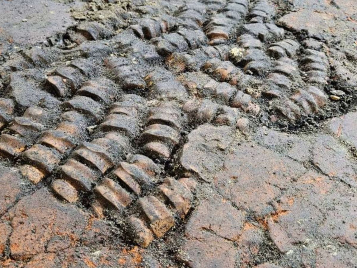 Knochen statt Fliesen: Archäologen entdecken rätselhaften Boden in den Niederlanden