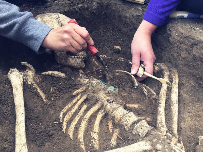 Archäologischer Fund wird von Forscher*innen untersucht.