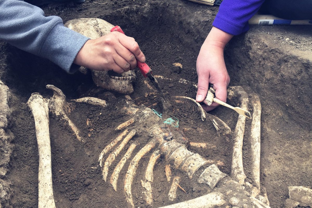 Archäologischer Fund wird von Forscher*innen untersucht.