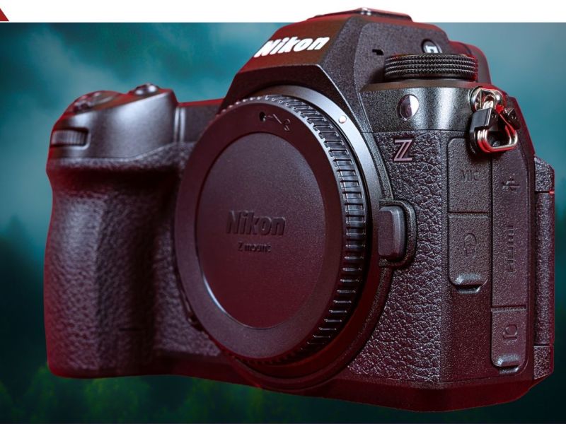 Nikon Z6III vor einem Wald