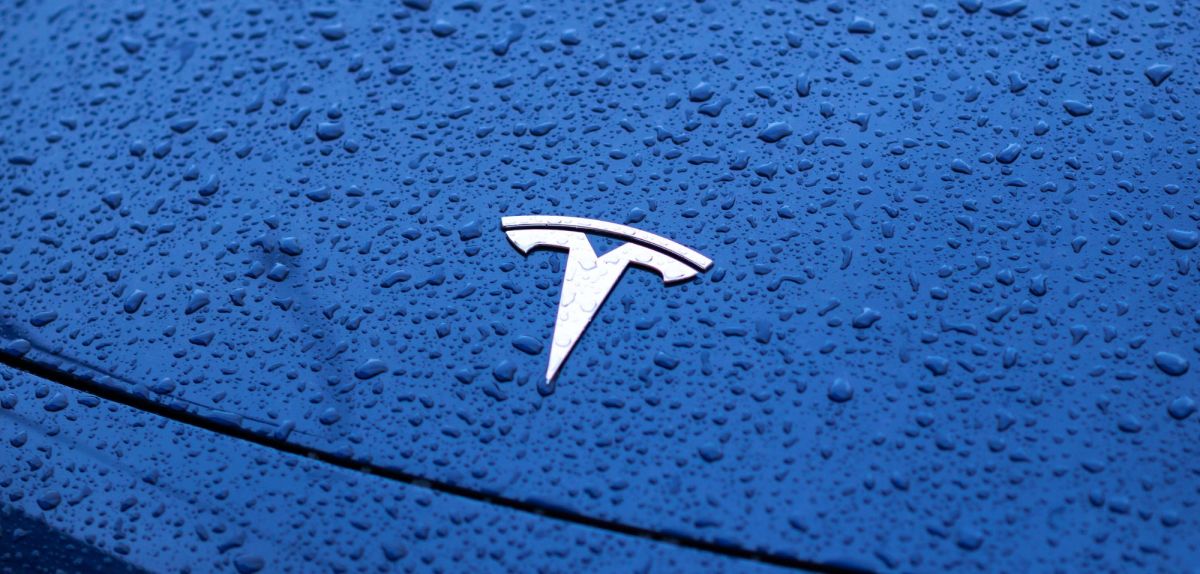 Tesla-Logo auf einer Motorhaube