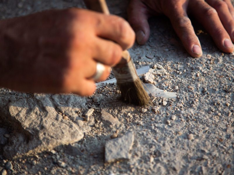 Person legt einen archäologischen Fund mit einem Pinsel frei. (Symbolbild)