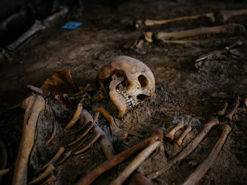 Skelett als archäologischer Fund.