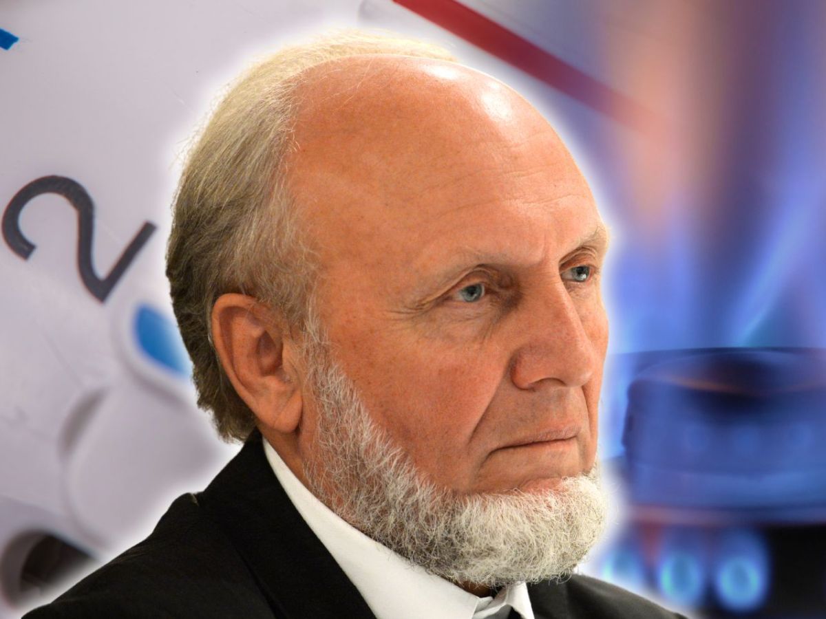 Hans-Werner Sinn vor einem Heizungsregler
