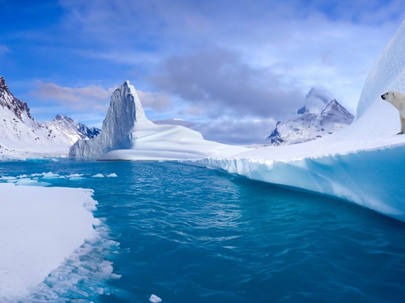 Wasser und Eislandschaft in Grönland mit einem Eisbär,