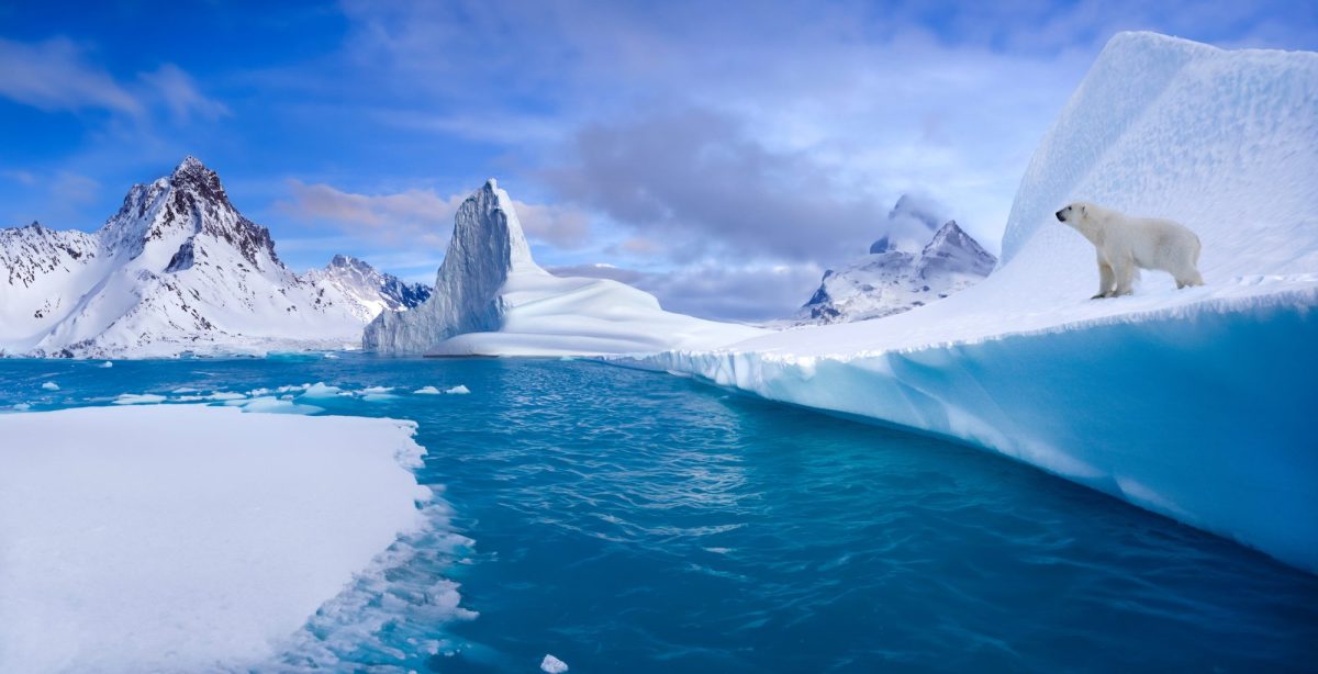 Wasser und Eislandschaft in Grönland mit einem Eisbär,