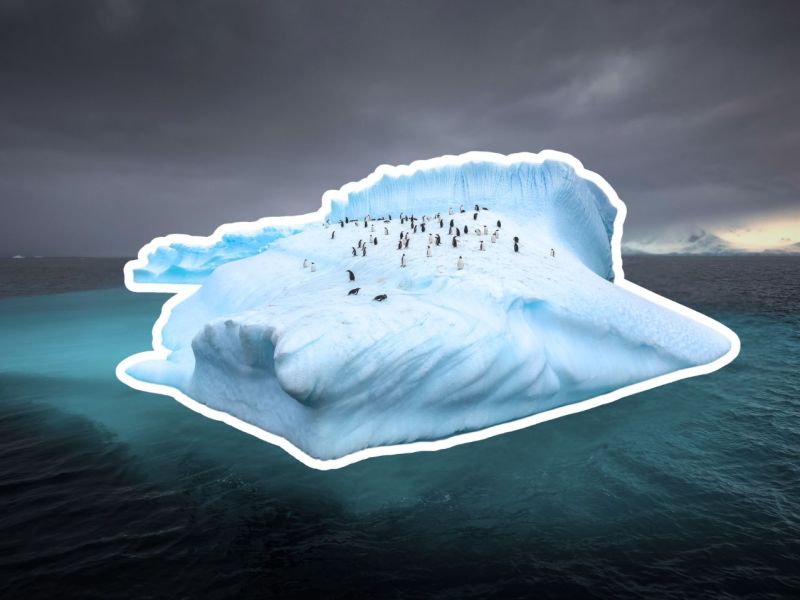 Pinguine auf einem Eisberg vor der Antarktis
