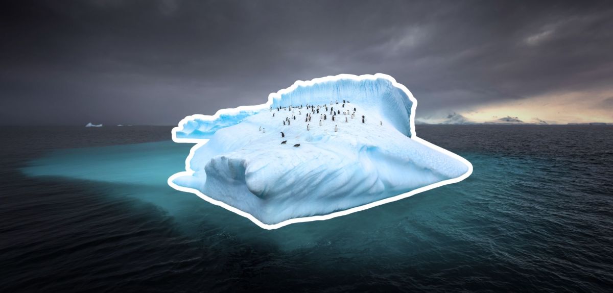 Pinguine auf einem Eisberg vor der Antarktis