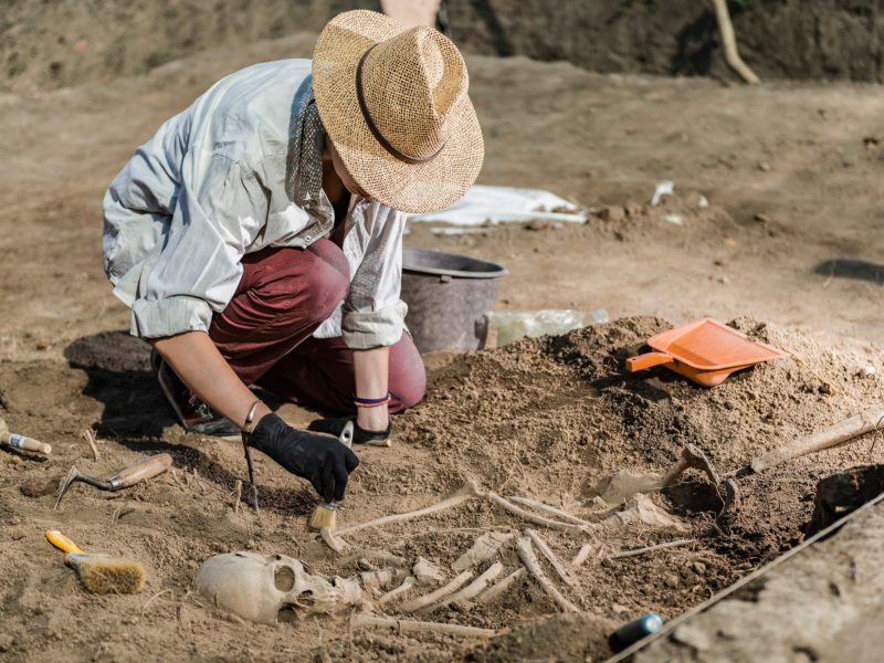 Forscherin untersucht einen archäologischen Fund