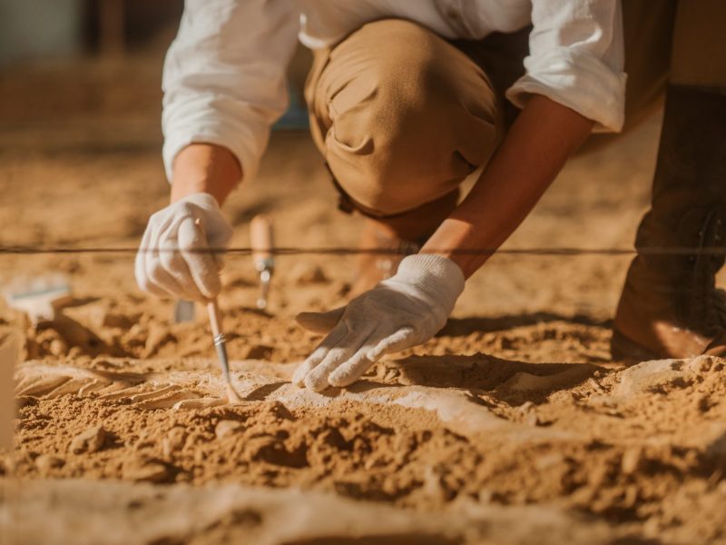 Person legt archäologischen Fund frei. (Symbolbild)