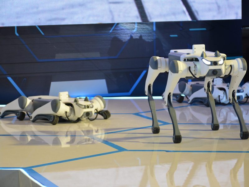 Roboter-Drohne aus China auf einer Teststrecke.