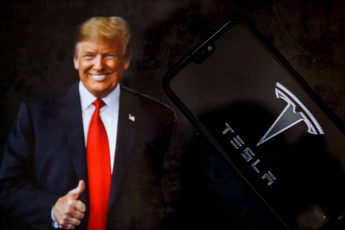 Donald Trump vor einem Tesla-Logo.