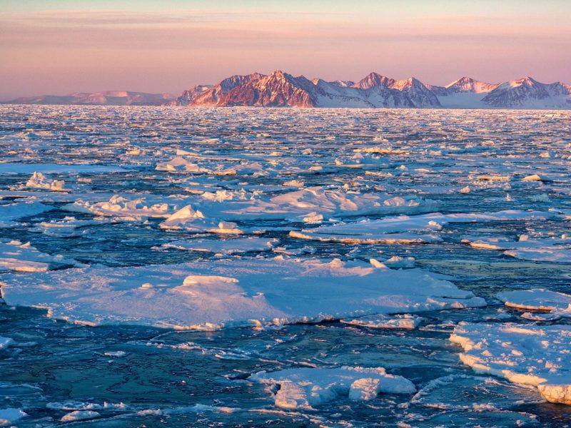 Eisschollen treiben auf dem Meer.