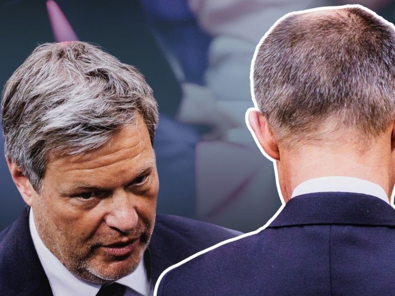 LR Robert Habeck, Friedrich Merz
