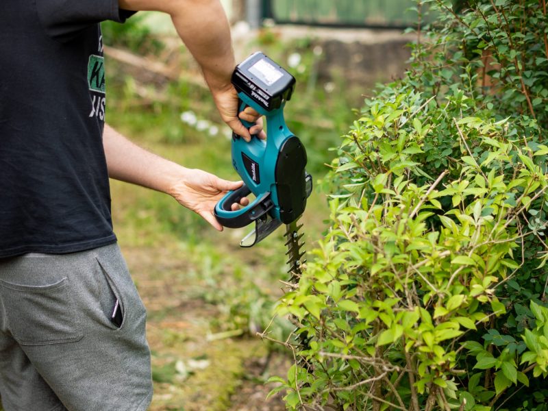 Eine Makita Akku-Heckenschere bei der Arbeit.