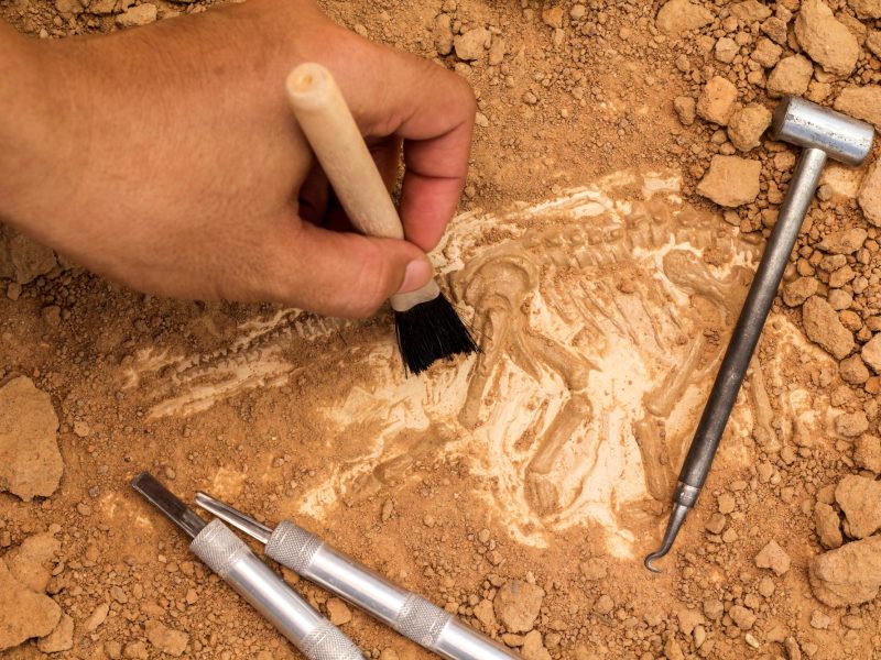 Hand arbeitet an einem archäologischen Fund.
