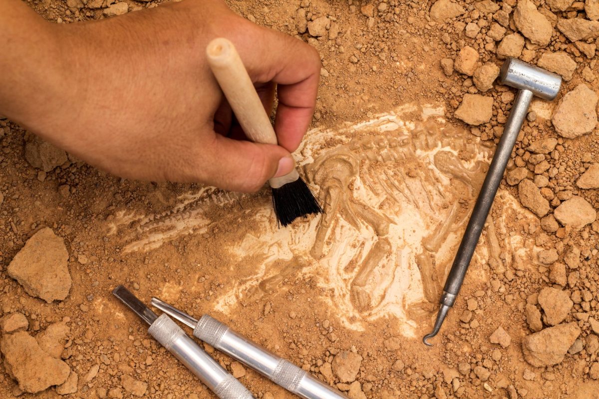Hand arbeitet an einem archäologischen Fund.