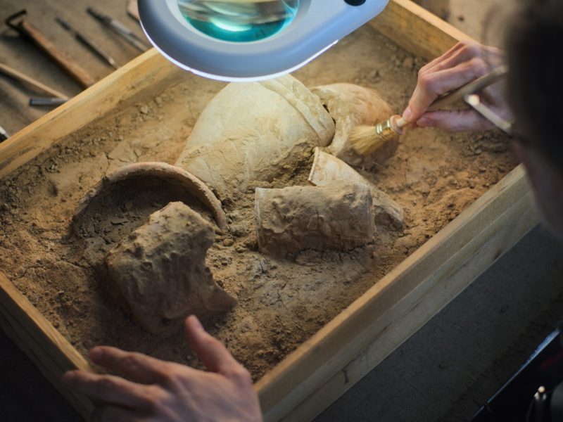 Frau arbeitet an einem archäologischen Fund.