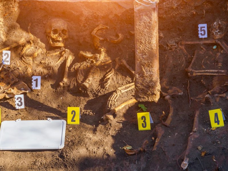 Skelette als archäologischer Fund.