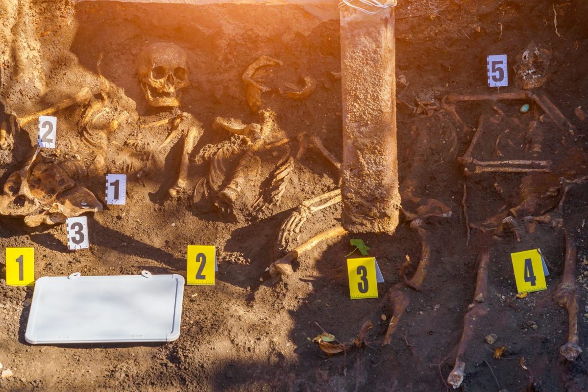 Skelette als archäologischer Fund.