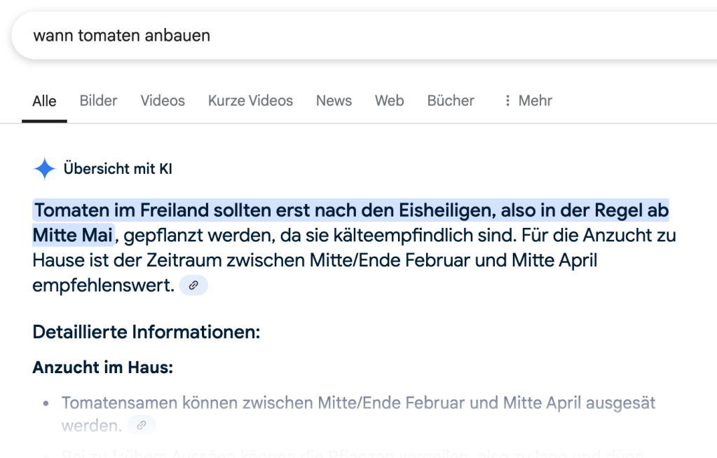 Screenshot einer Google-Suche