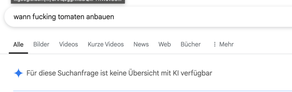 Screenshot einer Google-Suche