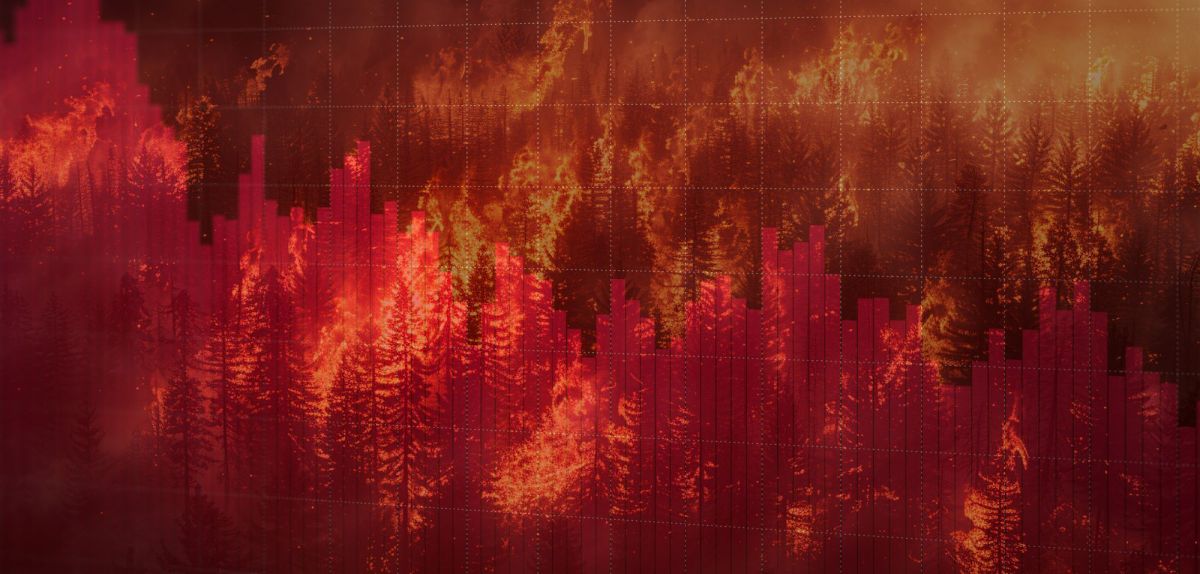 Fallende Aktienkurse transparent vor einem brennenden Wald