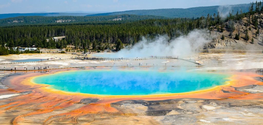 Yellowstone: Forscher machen außergewöhnliche Entdeckung – „sehr vielversprechend“