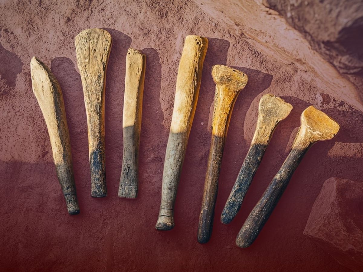 Archäologen finden mysteriöses Knochenwerkzeug – dazu diente es