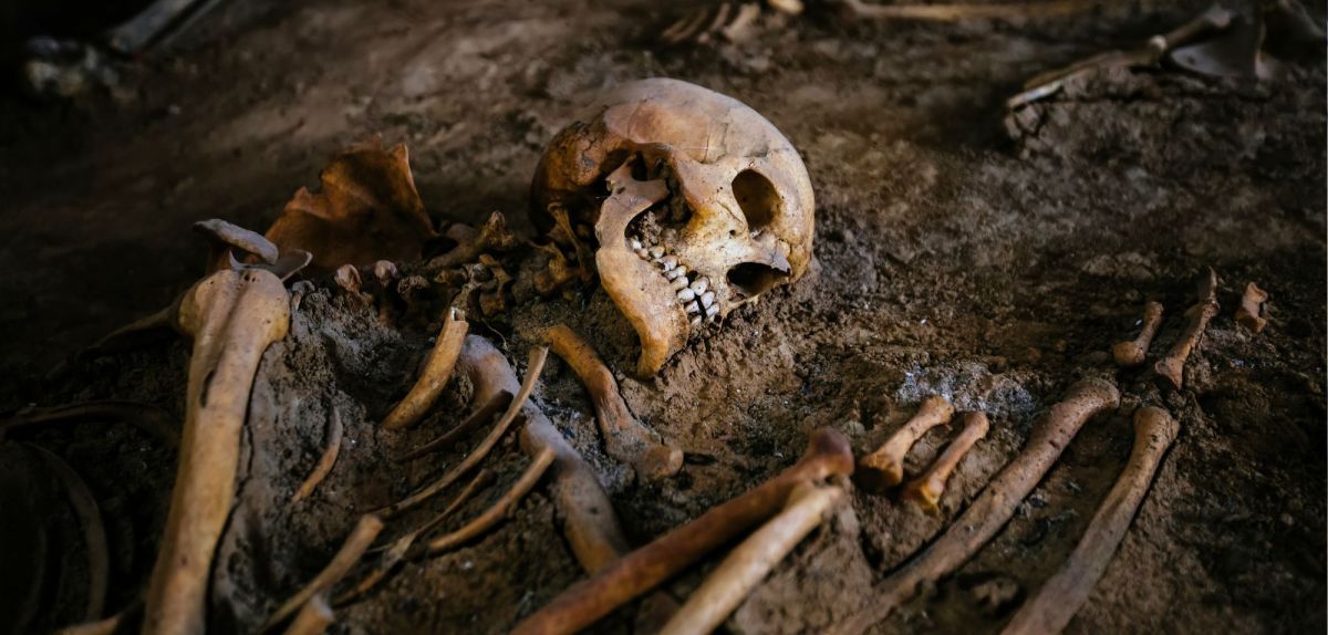 Archäologischer Fund in Deutschland: Forscher rätseln über 4.000 Jahre alten Friedhof