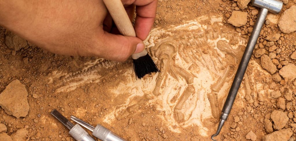 Archäologischer Fund: Einzigartige Knochen entdeckt – sie weisen auf ein uraltes Ritual hin