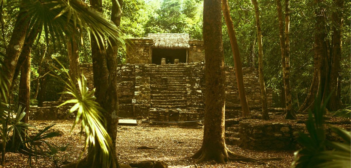 Alter Tempel im Urwald.
