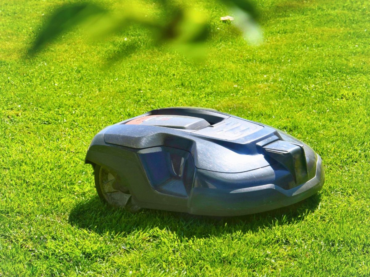 Hochwertiger Mähroboter ist jetzt deutlich reduziert – Amazon schenkt dir ganze 40 Prozent