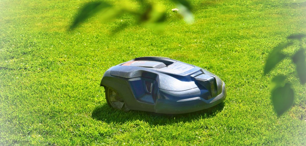 Mähroboter auf einem Rasen.