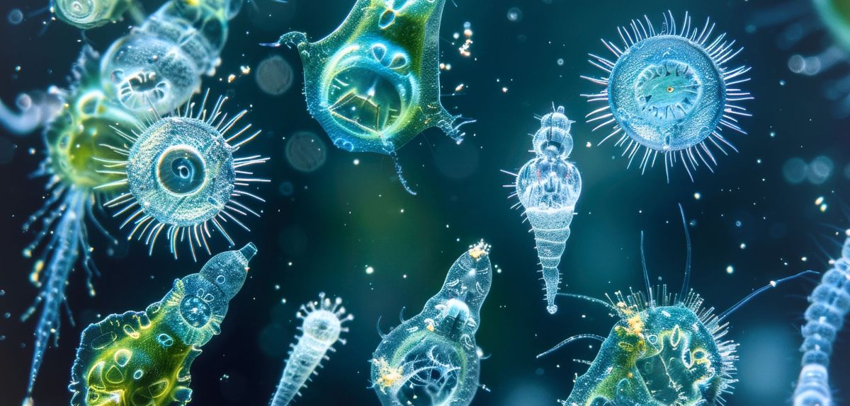 KI-generiertes Bild von Plankton und kleinen Organismus.