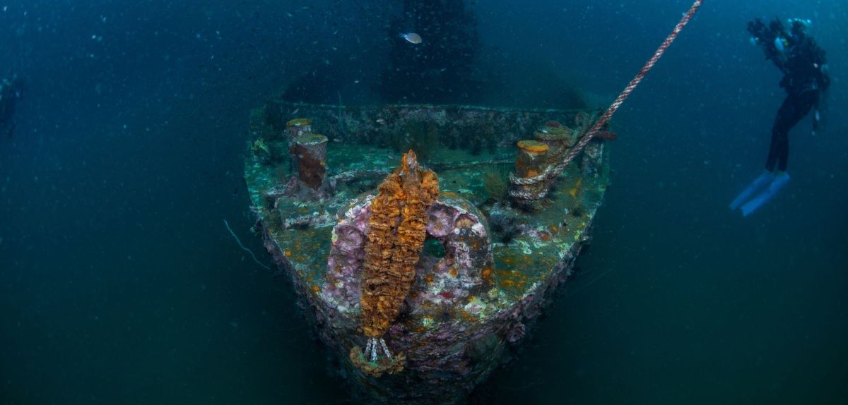 Archäologischer Fund: Forscher entdecken uraltes Schiff am Meeresboden – tiefer als je zuvor