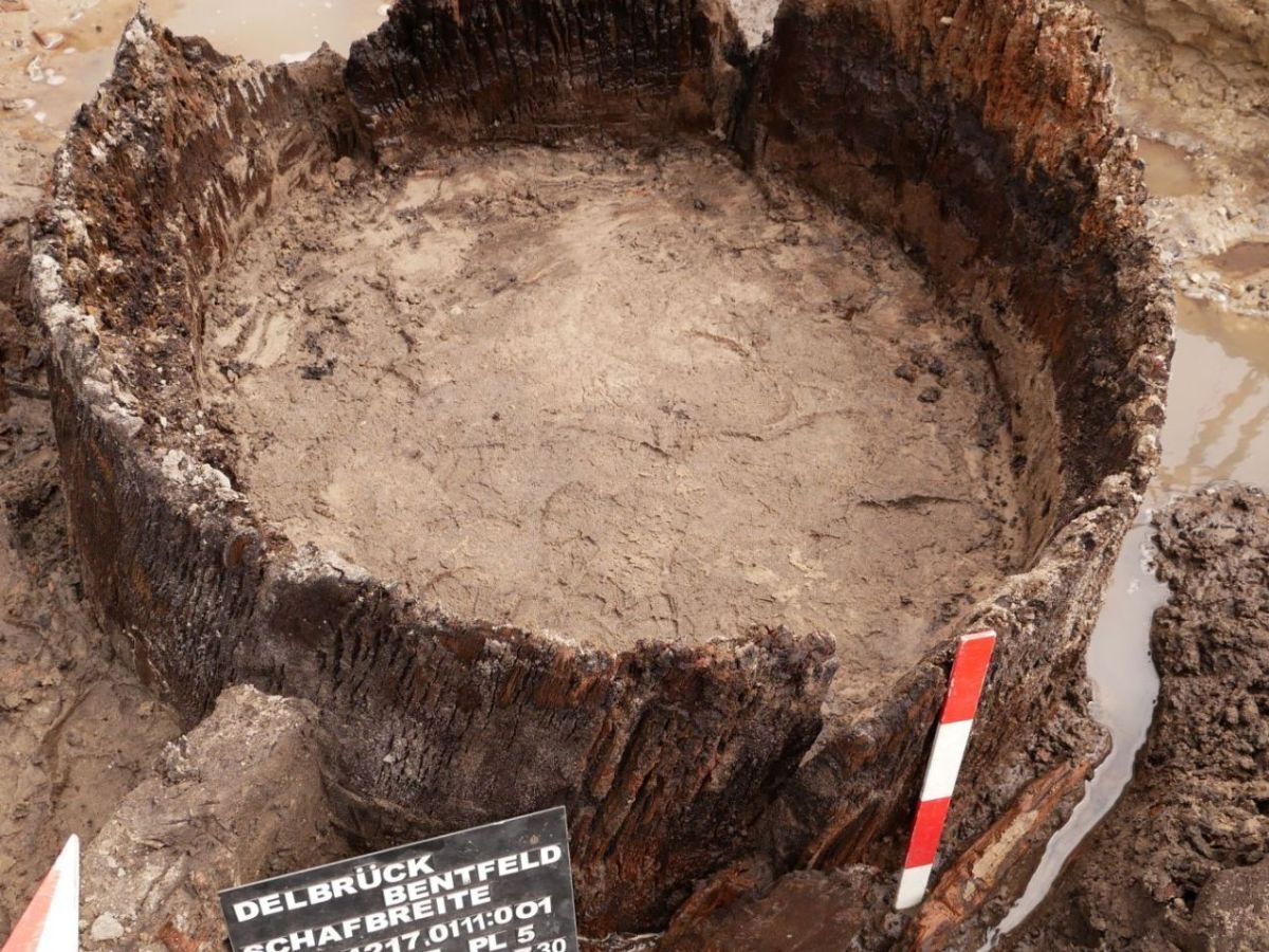 Archäologischer Fund: Forscher entdecken komplette Siedlung in Deutschland – „echte Sensation“