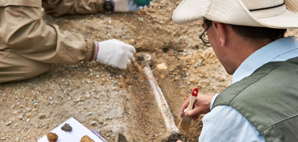 Mann untersucht einen archäologischen Fund.