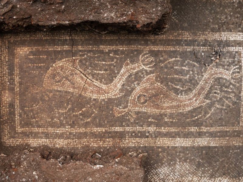Ein archäologischer Fund in Oberösterreich.
