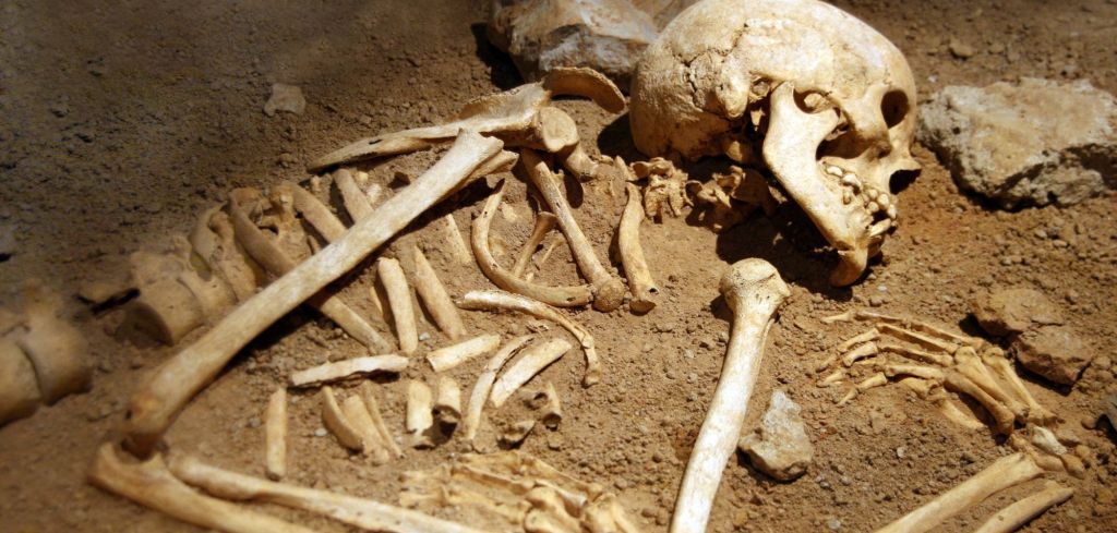 Archäologischer Fund: Menschliche Knochen in der Ukraine freigelegt – mit einem schrecklichen Detail