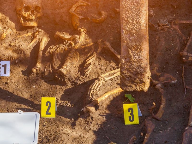 Ein archäologischer Fund auf dem Boden.