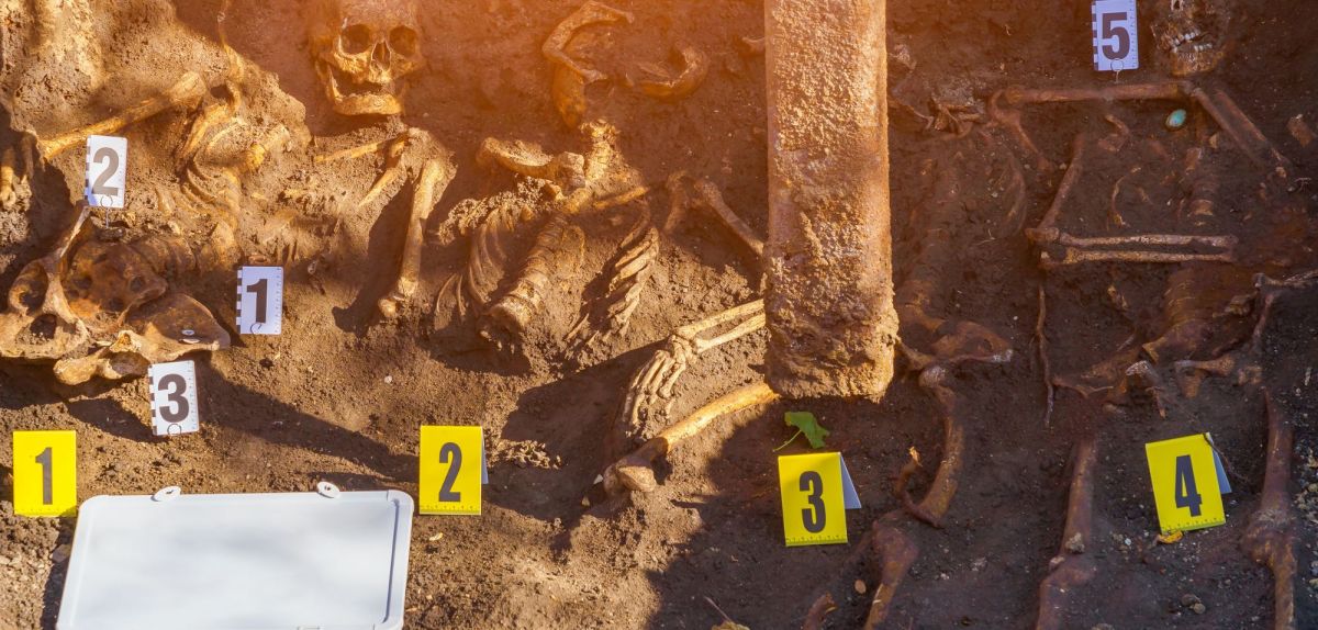 Ein archäologischer Fund auf dem Boden.