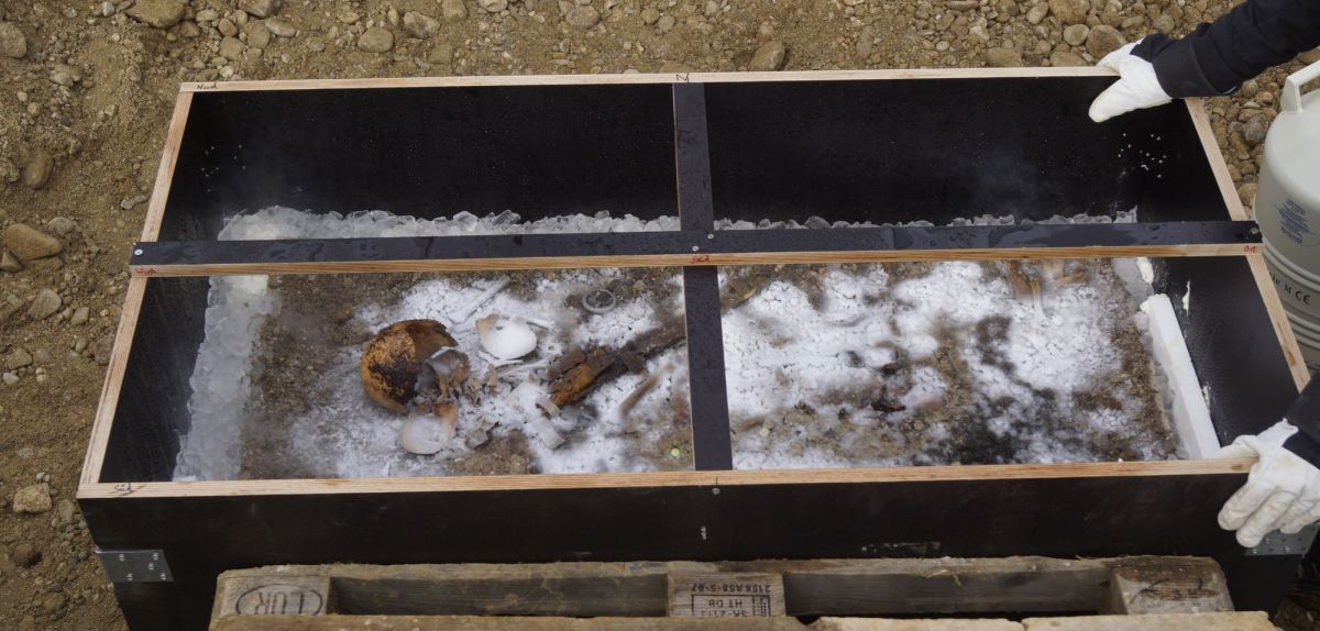 Archäologischer Fund: „Eisprinz“ verblüfft Forscher – „bemerkenswerte Leistung“